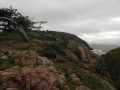 DSCN1804