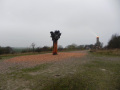 DSCN3091