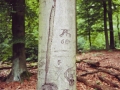 ah1