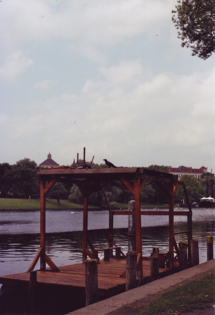 Ein Rabe sitzt auf dem Dach eines Flosses, das am Ufer des Landwehrkanals vertäut ist